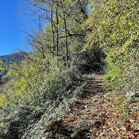 Casa Stefanie -traum Mit Seesicht Daire